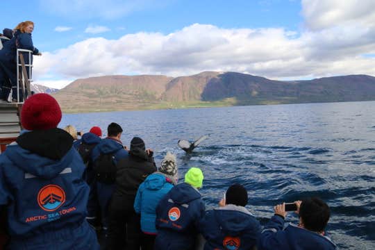 Small Group 7-Day Ring Road Tour with Snaefellsnes Peninsula from Reykjavik