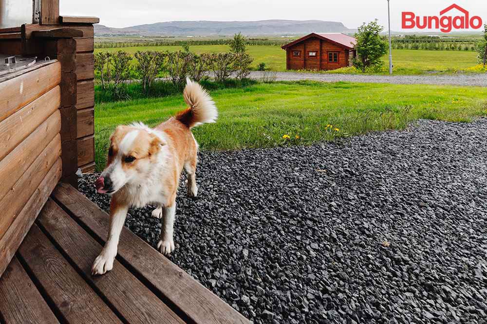 塞尔福斯附近的努帕尔平房 - 带热水浴缸 | Nupar Bungalow Near Selfoss With Hot Tub