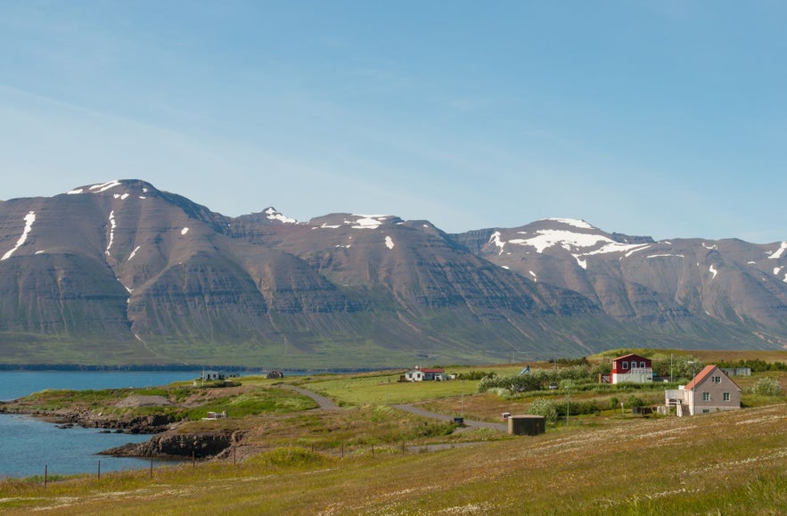 Take a boat for an adventure in Hrisey island