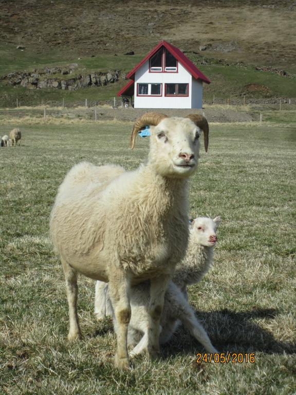 布雷兹达鲁尔附近阿斯加杜尔旅馆 | Asgardur Guesthouse Near Brei&eth;dalur