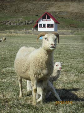 Asgardur Guesthouse Near Brei&eth;dalur