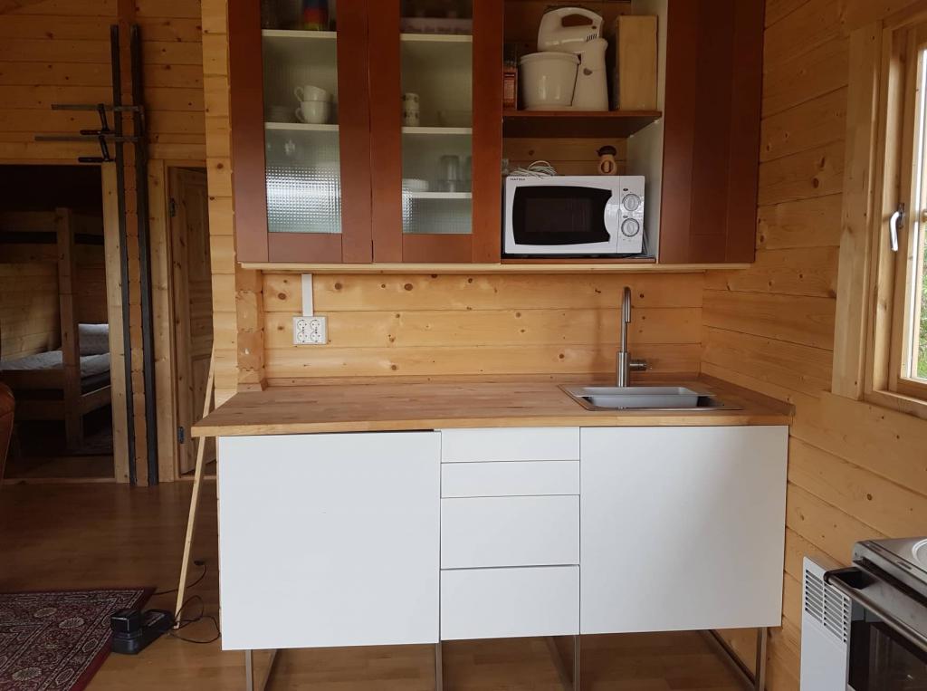 阿克雷里附近带热水浴缸的 Oeskubakki 小屋 | Oeskubakki Cabin With a Hot Tub Near Akureyri