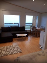 冰岛南部的Snaebyli小屋