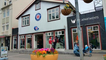 A view of the outdoor area of Acco Ice Apartments, with a flowerpot and pink flowers in front of the entrance to a clothing stor