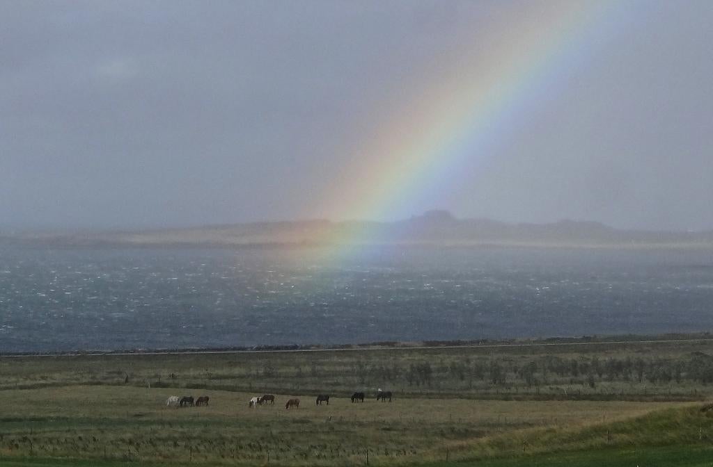 Esjan - Bus 5: Holiday Home Near Reykjavik
