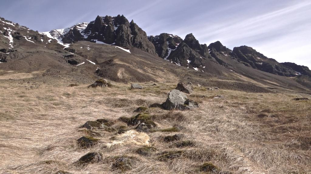Esjan Renovated Bus Accommodation Near Reykjavik