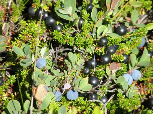 索尔塞图尔小屋 - 带热水浴缸 | Solsetur Cottage with Hot Tub