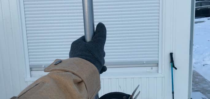 Кошки, мшиные мыши и вороны Одина