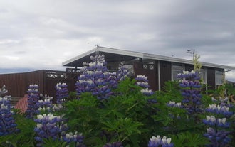 Thingvellir Cottage With Terrace in South Iceland