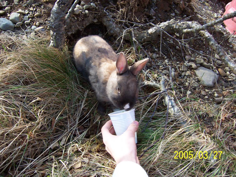 Luxury Cottage in Borgarnes