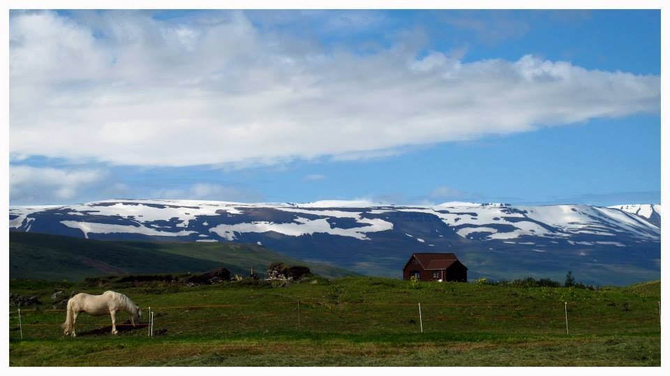 Hagi: Lovely Cottage in North Iceland