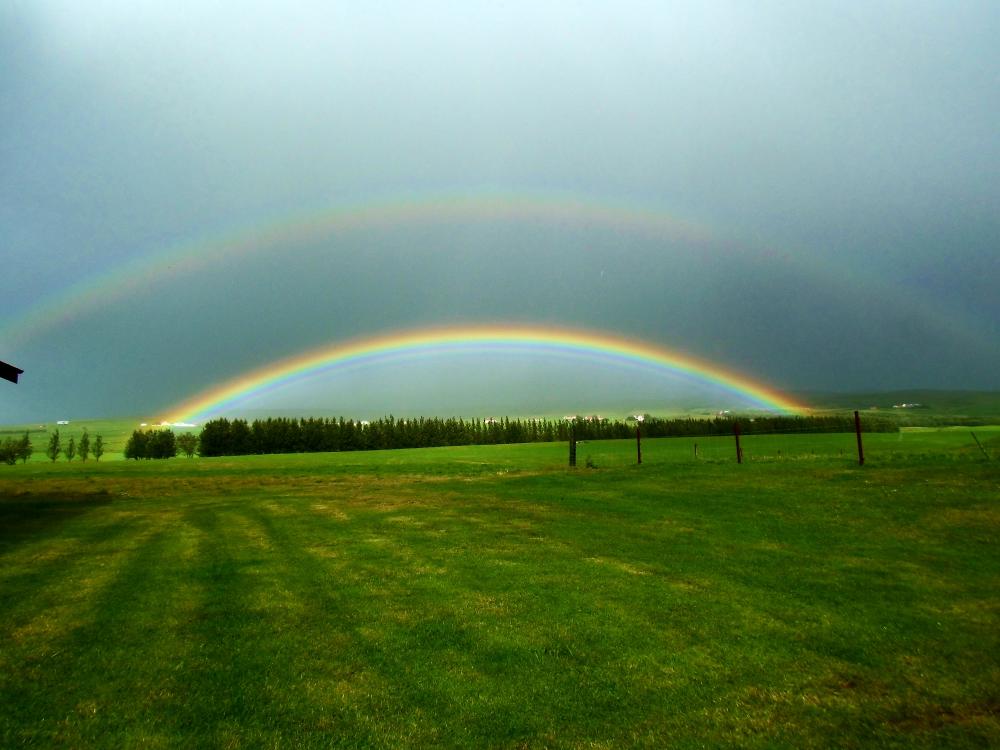 Chalet 3: Simple Cottage in South Iceland