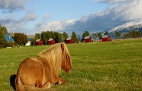 木屋 1：冰岛南部的小屋 | Chalet 1: Cottage in South Iceland