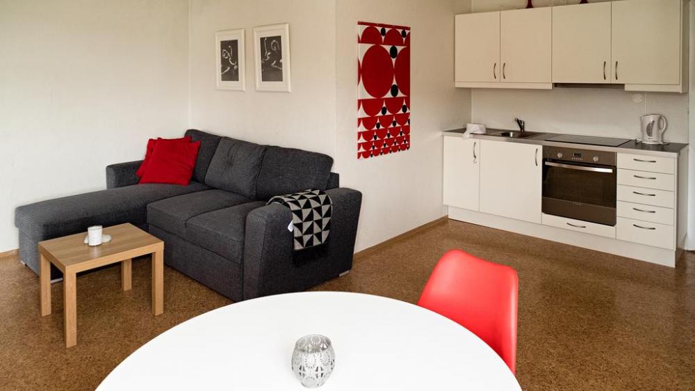 Framtidin Apartment 2 in Djúpivogur