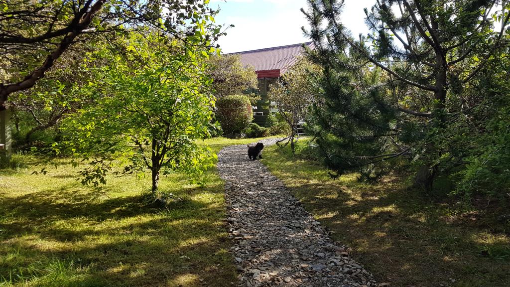Flankasta&eth;ir Cottage In Borgarfj&ouml;r&eth;ur With Hot Tub