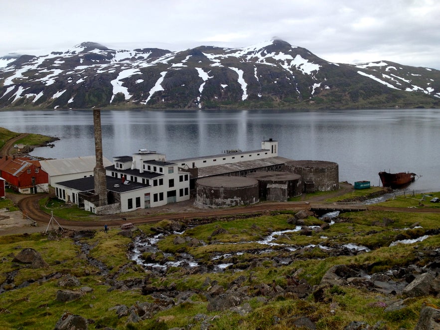 Day three: more on the the enchantment of Djúpavík