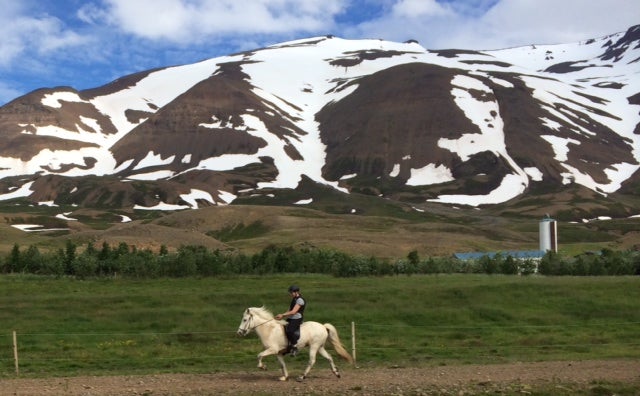 Hl&eacute;sk&oacute;gar Apartment Near Akureyri With Jacuzzi