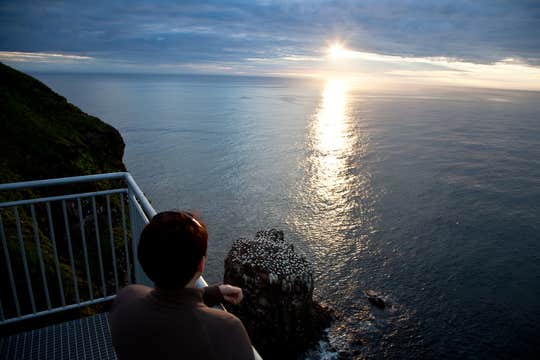 Private 11-Hour Birdwatching Tour in North Iceland’s Langanes and Tjornes Peninsulas