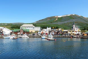 Husavik heeft een schilderachtige haven met boten en kleurrijke gebouwen.