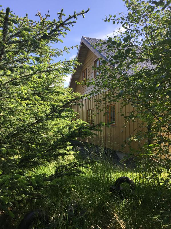 The Nest Cottage Reykjaskogur with an Outdoor Hot Tub