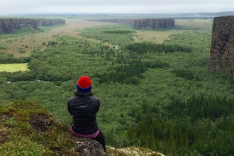 A traveler observes the trees and rock formations of Asbyrgi canyon.