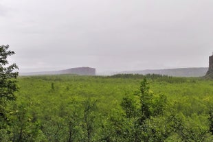 Asbyrgi canyon looks vibrant with birch and willow trees.