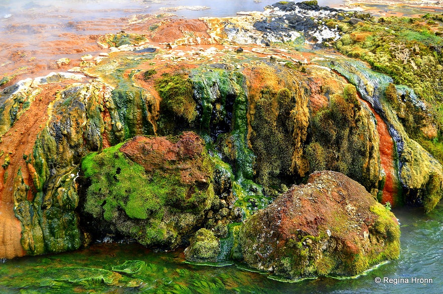 Reykjadalur valley geothermal area