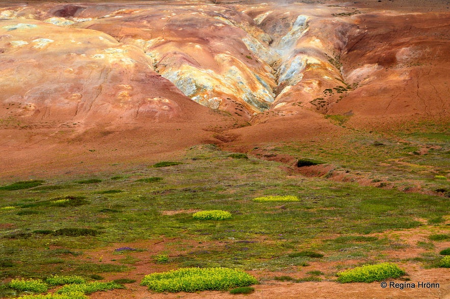 Leirhnjúkur geothermal area