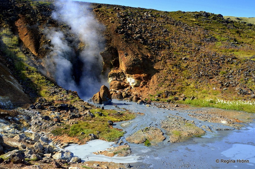 Nesjavellir geothermal area