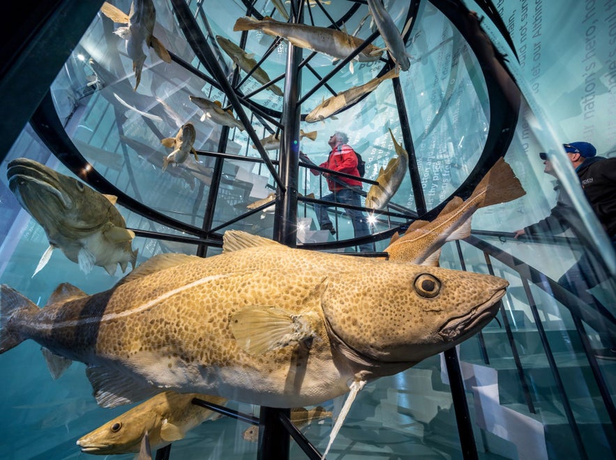 The Reykjavik Maritime Museum is dedicated to the seafaring history of Iceland