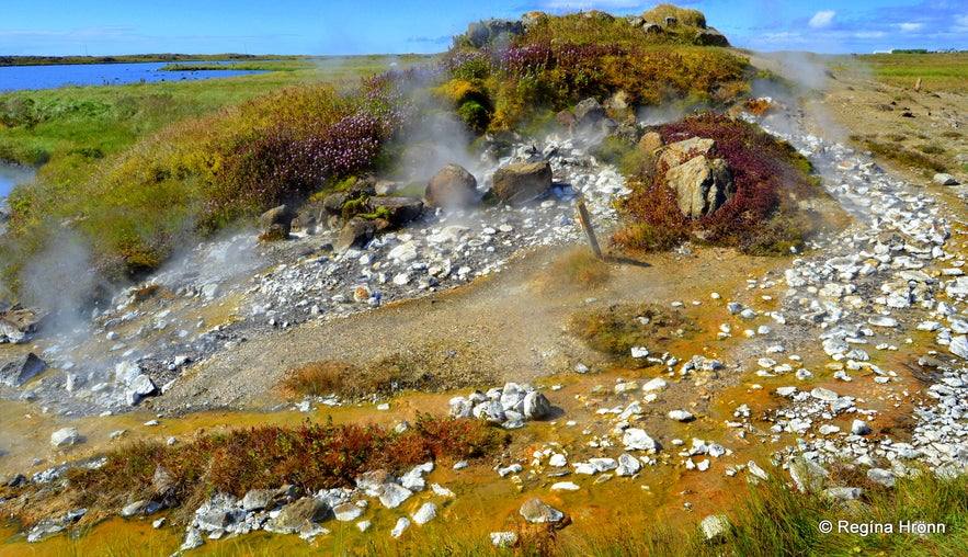 Eynireykir hot spring at Reykhólar Westfjords