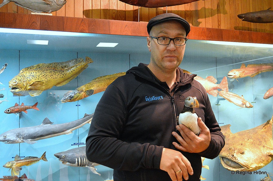 Sæheimar museum Westman islands Sæheimar museum Westman islands