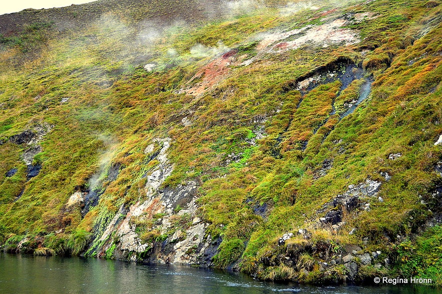 A clicking hot spring by Varmá Hveragerði