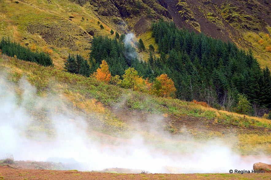 The geothermal area above Hveragerði