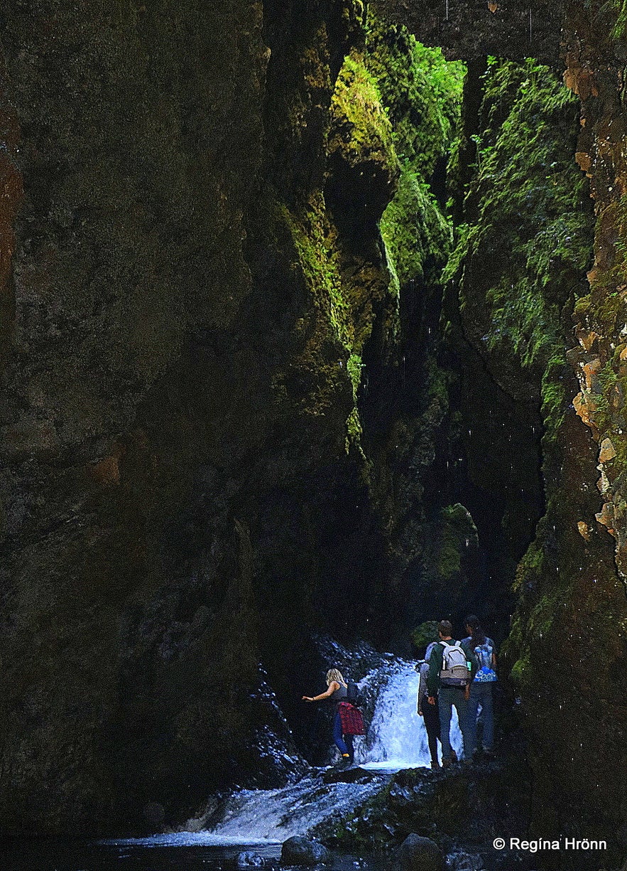 Nauthúsagil Ravine in South-Iceland