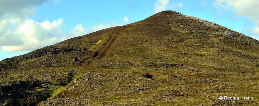 A detour up a hill on the guided tour