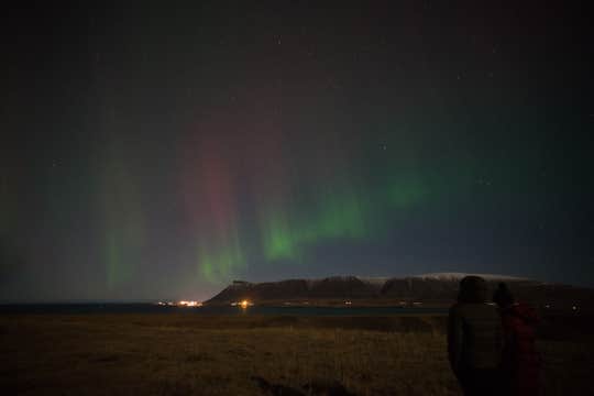 Perfect 5-Hour New Year’s Day Northern Lights Tour with Transfer from Reykjavik