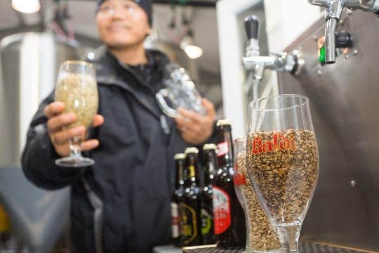 Private 7-Hour Arctic Coastline Tour with Microbrewery Visit from Akureyri