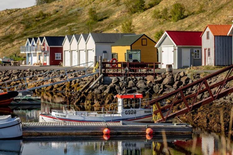 Private 7-Hour Arctic Coastline Tour with Microbrewery Visit from Akureyri