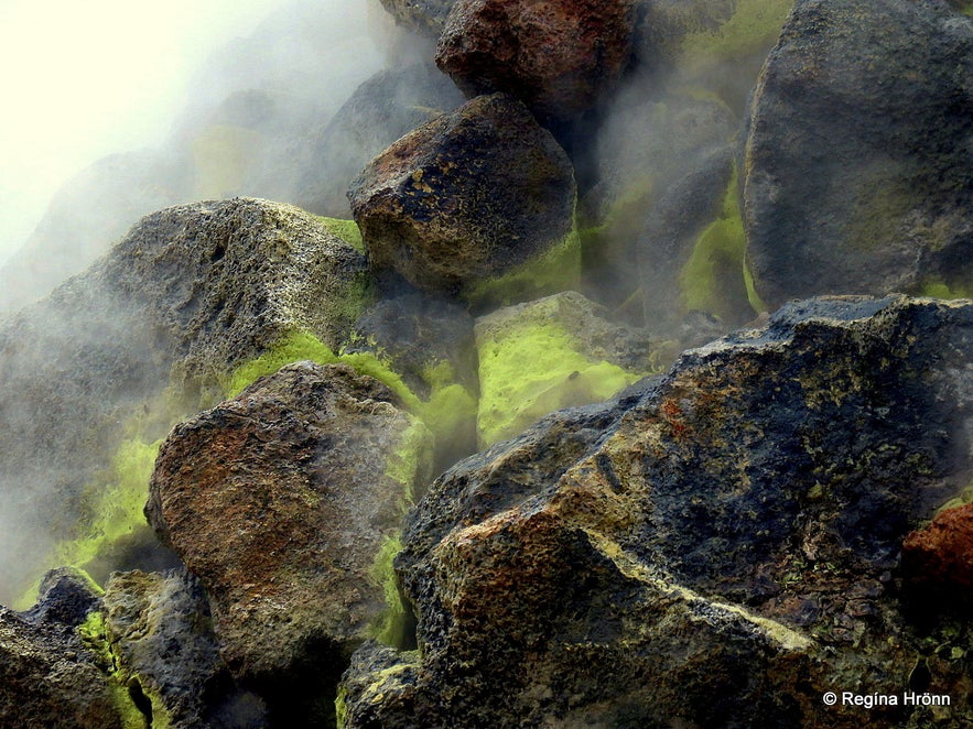 Steaming borholes at Hverarönd