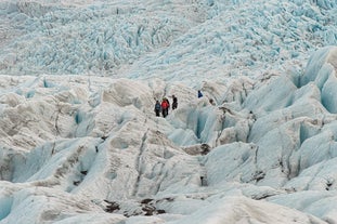 Falljokull glacier boasts a rugged and icy terrain.