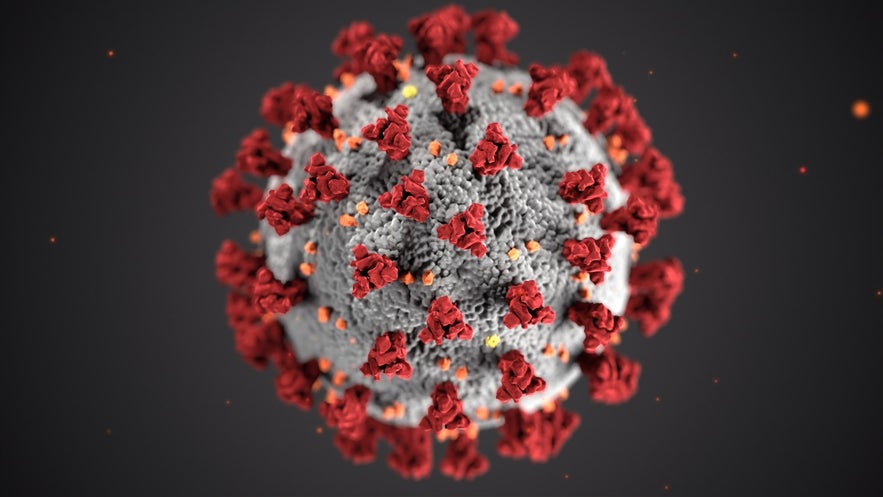 The COVID19 Coronavirus