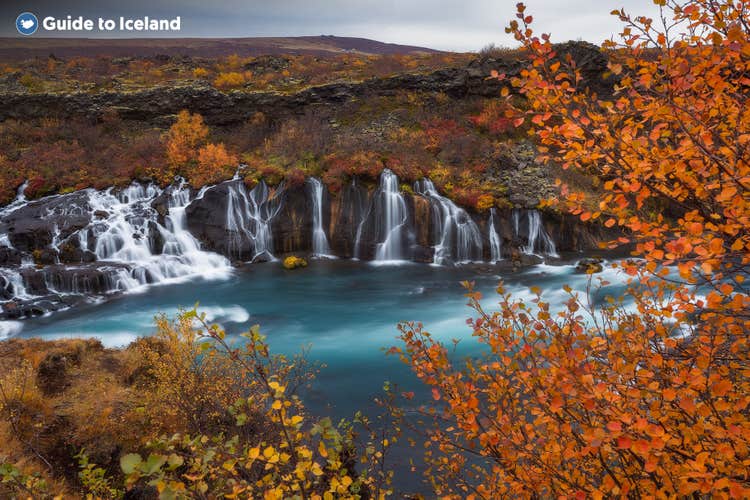 The beautiful Hraunfossar waterfall in West Iceland appears to pour straight from the cliffs in a line of beautiful cascades.