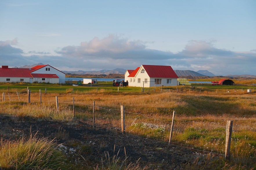 夏季的米湖地区 夏季的米湖地区