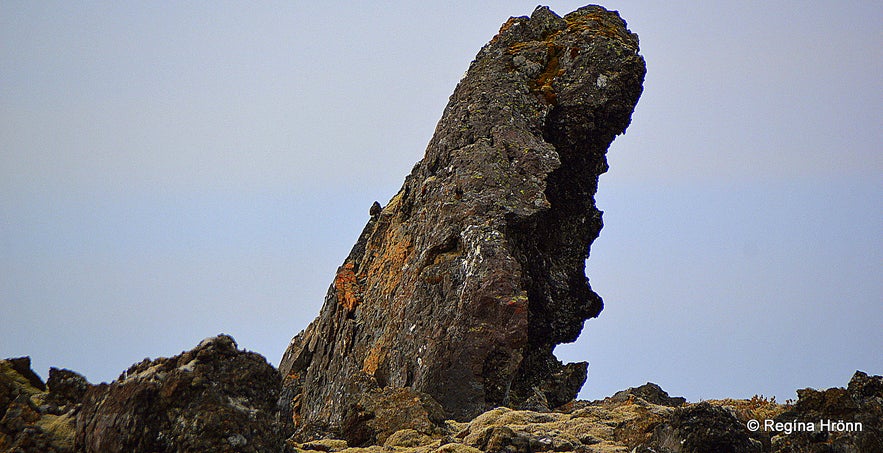 Lava fields by the road leading to Lambafellsklofi