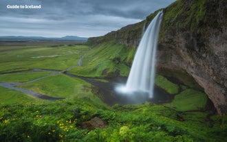 Seljalandsfoss-vandfaldet på den utroligt populære turistrute på Sydkysten, lands Islands berømte ringvej.