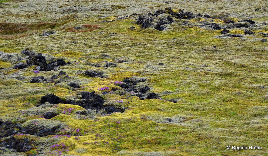 Geothermal area above Lambafellsklofi Reykjanesskagi