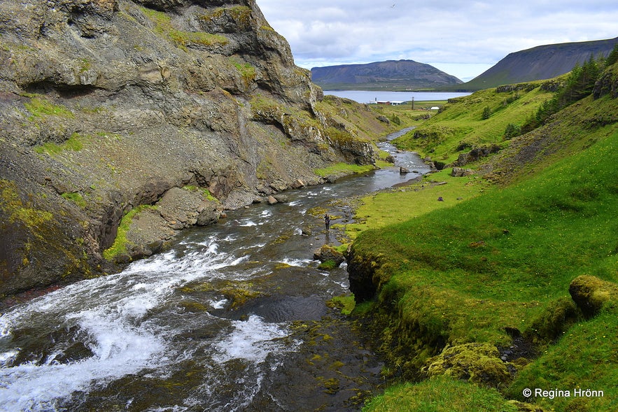 The Concert Hall of the Elves of Iceland