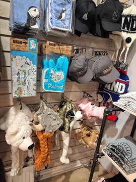 The Reykjavik Shopping Tour