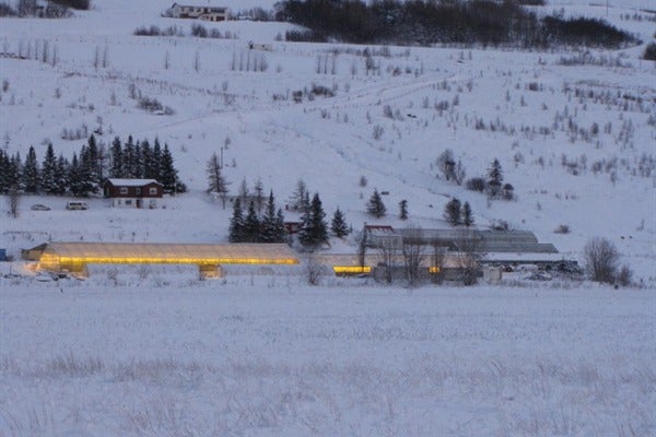 Brúnalaug Guesthouse logo